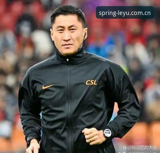揭秘世界杯裁判马宁的“不看评论”真相：一个乐鱼用户的观察